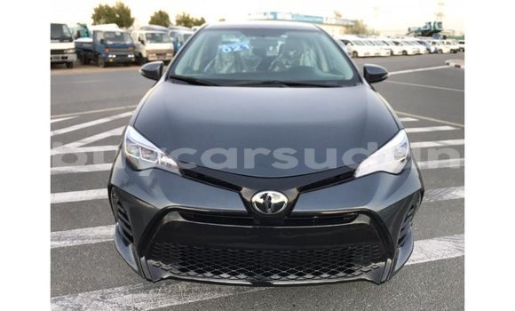Buy Import Toyota Corolla Other Car in Import - Dubai in Al Jazirah State Buy Import Toyota Corolla Other Car in Import - Dubai in Al Jazirah State