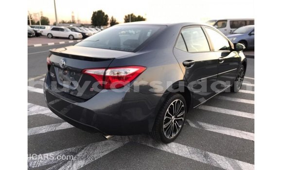 Buy Import Toyota Corolla Other Car in Import - Dubai in Al Jazirah State Buy Import Toyota Corolla Other Car in Import - Dubai in Al Jazirah State