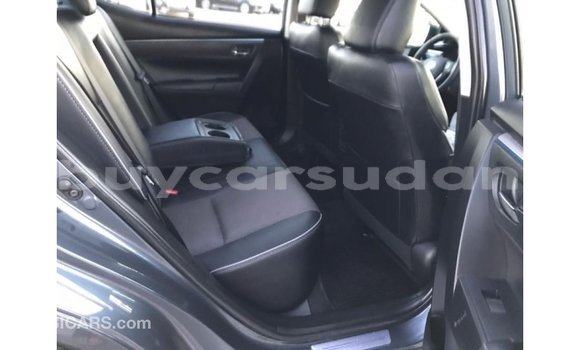 Buy Import Toyota Corolla Other Car in Import - Dubai in Al Jazirah State Buy Import Toyota Corolla Other Car in Import - Dubai in Al Jazirah State
