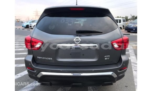 Buy Import Nissan Pathfinder Other Car in Import - Dubai in Al Jazirah State Buy Import Nissan Pathfinder Other Car in Import - Dubai in Al Jazirah State