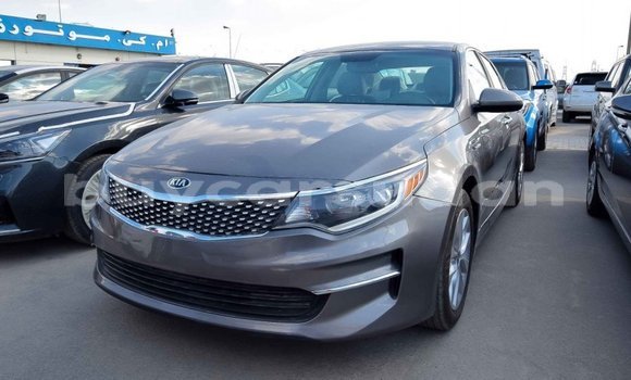 Buy Import Kia Optima Other Car in Import - Dubai in Al Jazirah State Buy Import Kia Optima Other Car in Import - Dubai in Al Jazirah State