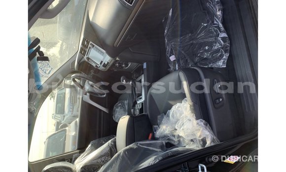 Buy Import Toyota Prado Black Car in Import - Dubai in Al Jazirah State Buy Import Toyota Prado Black Car in Import - Dubai in Al Jazirah State