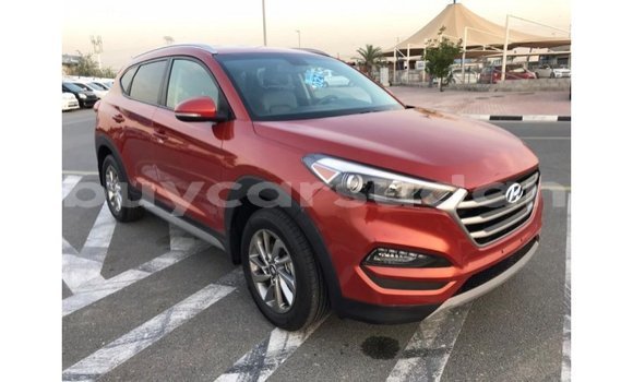Buy Import Hyundai Tucson Red Car in Import - Dubai in Al Jazirah State Buy Import Hyundai Tucson Red Car in Import - Dubai in Al Jazirah State