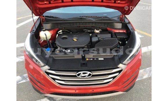 Buy Import Hyundai Tucson Red Car in Import - Dubai in Al Jazirah State Buy Import Hyundai Tucson Red Car in Import - Dubai in Al Jazirah State
