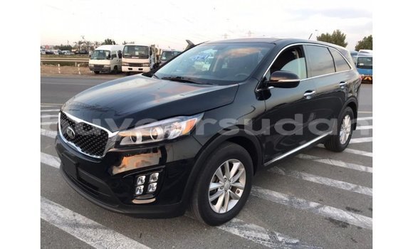 Buy Import Kia Sorento Black Car in Import - Dubai in Al Jazirah State Buy Import Kia Sorento Black Car in Import - Dubai in Al Jazirah State