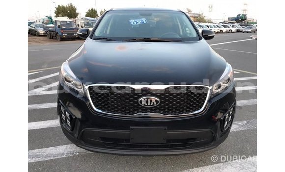 Buy Import Kia Sorento Black Car in Import - Dubai in Al Jazirah State Buy Import Kia Sorento Black Car in Import - Dubai in Al Jazirah State