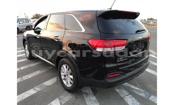 Buy Import Kia Sorento Black Car in Import - Dubai in Al Jazirah State Buy Import Kia Sorento Black Car in Import - Dubai in Al Jazirah State