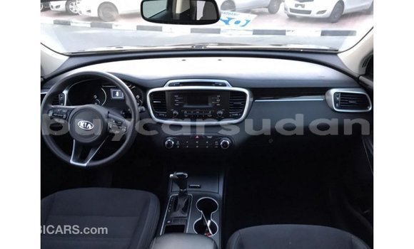 Buy Import Kia Sorento Black Car in Import - Dubai in Al Jazirah State Buy Import Kia Sorento Black Car in Import - Dubai in Al Jazirah State