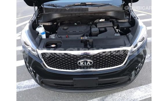 Buy Import Kia Sorento Black Car in Import - Dubai in Al Jazirah State Buy Import Kia Sorento Black Car in Import - Dubai in Al Jazirah State