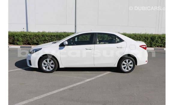 Buy Import Toyota Corolla White Car in Import - Dubai in Al Jazirah State Buy Import Toyota Corolla White Car in Import - Dubai in Al Jazirah State