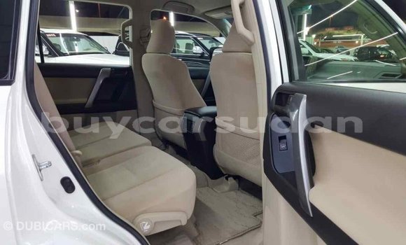 Buy Import Toyota Prado White Car in Import - Dubai in Al Jazirah State Buy Import Toyota Prado White Car in Import - Dubai in Al Jazirah State