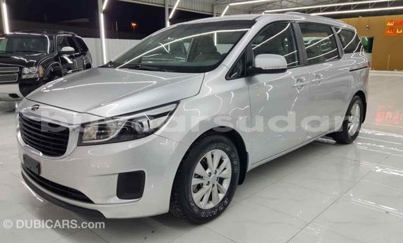 Buy Import Kia Carnival Other Car in Import - Dubai in Al Jazirah State Buy Import Kia Carnival Other Car in Import - Dubai in Al Jazirah State