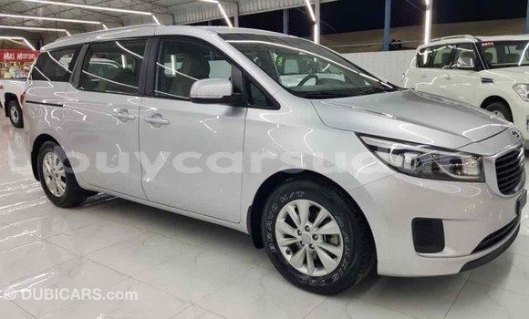 Buy Import Kia Carnival Other Car in Import - Dubai in Al Jazirah State Buy Import Kia Carnival Other Car in Import - Dubai in Al Jazirah State