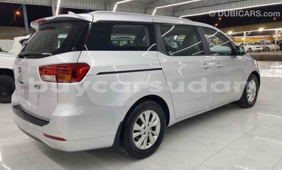Buy Import Kia Carnival Other Car in Import - Dubai in Al Jazirah State Buy Import Kia Carnival Other Car in Import - Dubai in Al Jazirah State