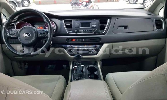 Buy Import Kia Carnival Other Car in Import - Dubai in Al Jazirah State Buy Import Kia Carnival Other Car in Import - Dubai in Al Jazirah State