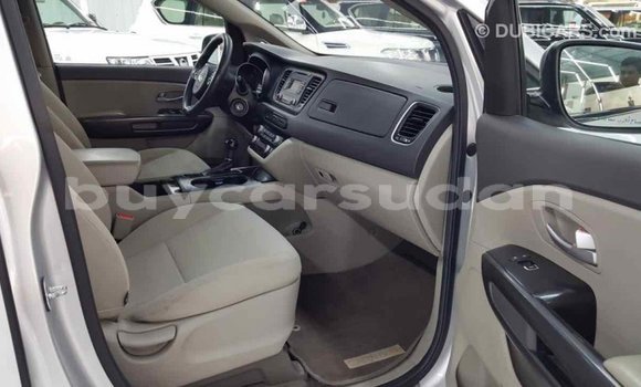 Buy Import Kia Carnival Other Car in Import - Dubai in Al Jazirah State Buy Import Kia Carnival Other Car in Import - Dubai in Al Jazirah State