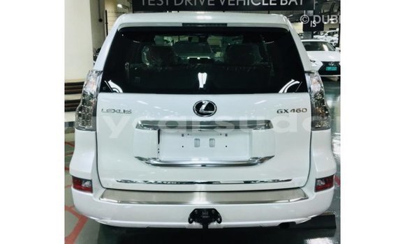 Acheter Import Voiture Lexus GX Blanc à Import - Dubai, État d'Al Jazirah Acheter Import Voiture Lexus GX Blanc à Import - Dubai, État d'Al Jazirah