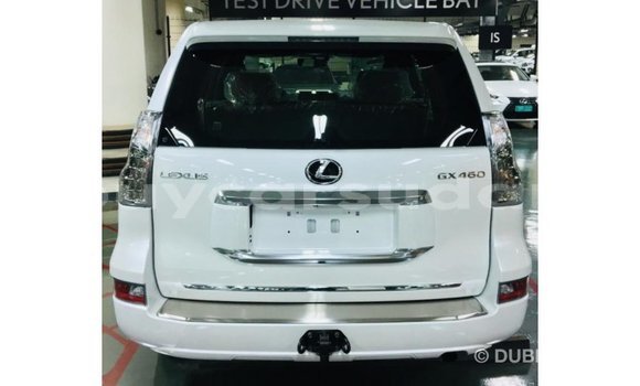 Buy Import Lexus GX White Car in Import - Dubai in Al Jazirah State Buy Import Lexus GX White Car in Import - Dubai in Al Jazirah State