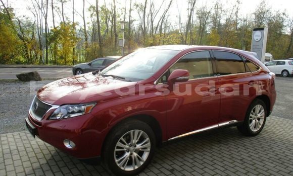 Buy Used Lexus RX 350 Red Car in Khartoum in Khartoum Buy Used Lexus RX 350 Red Car in Khartoum in Khartoum