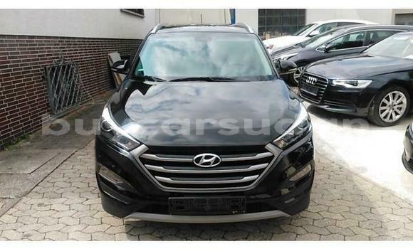 Buy Used Hyundai Tucson Red Car in Khartoum in Khartoum Buy Used Hyundai Tucson Red Car in Khartoum in Khartoum