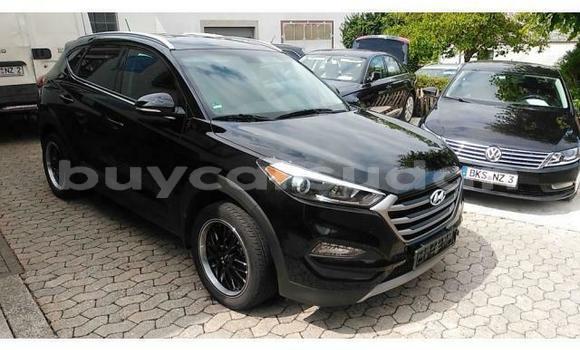 Buy Used Hyundai Tucson Red Car in Khartoum in Khartoum Buy Used Hyundai Tucson Red Car in Khartoum in Khartoum