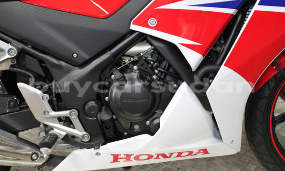 Buy Used Honda CBR Red Bike in Khartoum in Khartoum Buy Used Honda CBR Red Bike in Khartoum in Khartoum