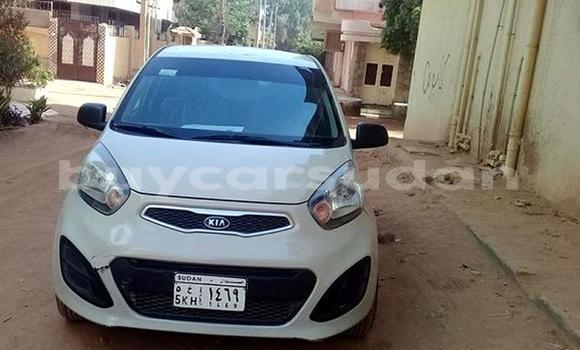 Buy Used Kia picanto Beige Car in Bahri in Khartoum