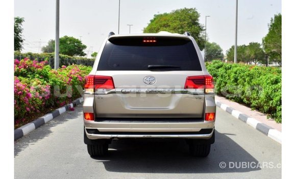Buy Import Toyota Land Cruiser Other Car in Import - Dubai in Al Jazirah State Buy Import Toyota Land Cruiser Other Car in Import - Dubai in Al Jazirah State