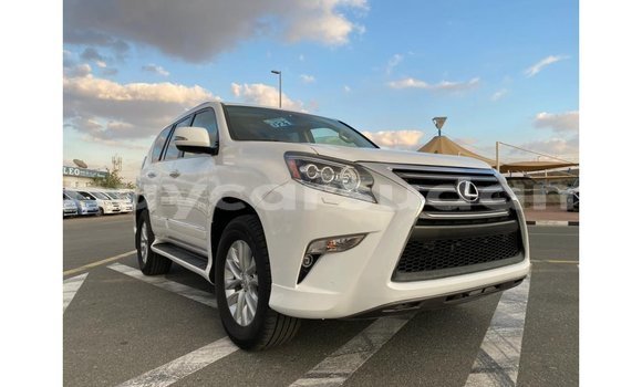 Buy Import Lexus GX White Car in Import - Dubai in Al Jazirah State Buy Import Lexus GX White Car in Import - Dubai in Al Jazirah State