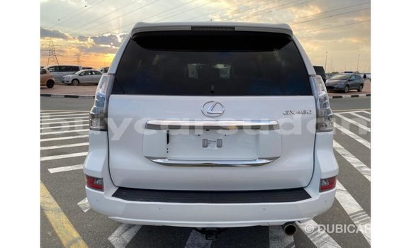 Buy Import Lexus GX White Car in Import - Dubai in Al Jazirah State Buy Import Lexus GX White Car in Import - Dubai in Al Jazirah State