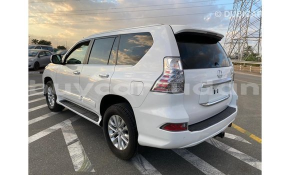 Buy Import Lexus GX White Car in Import - Dubai in Al Jazirah State Buy Import Lexus GX White Car in Import - Dubai in Al Jazirah State