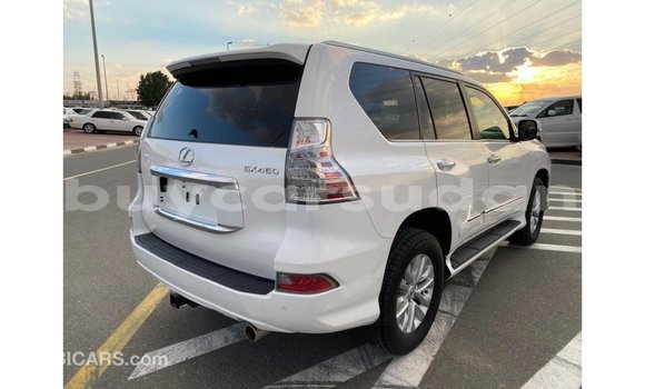 Buy Import Lexus GX White Car in Import - Dubai in Al Jazirah State Buy Import Lexus GX White Car in Import - Dubai in Al Jazirah State
