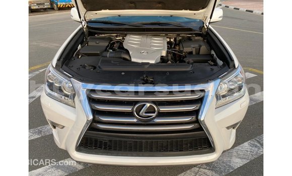 Buy Import Lexus GX White Car in Import - Dubai in Al Jazirah State Buy Import Lexus GX White Car in Import - Dubai in Al Jazirah State