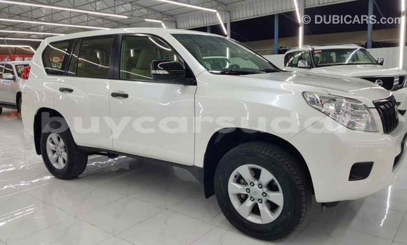 Buy Import Toyota Prado White Car in Import - Dubai in Al Jazirah State Buy Import Toyota Prado White Car in Import - Dubai in Al Jazirah State