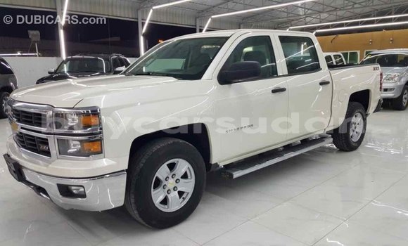 Buy Import Chevrolet Silverado White Car in Import - Dubai in Al Jazirah State Buy Import Chevrolet Silverado White Car in Import - Dubai in Al Jazirah State