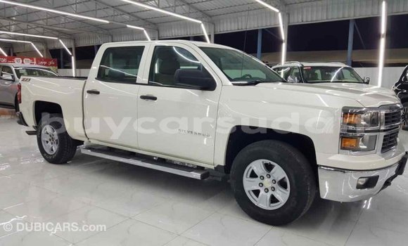 Buy Import Chevrolet Silverado White Car in Import - Dubai in Al Jazirah State Buy Import Chevrolet Silverado White Car in Import - Dubai in Al Jazirah State