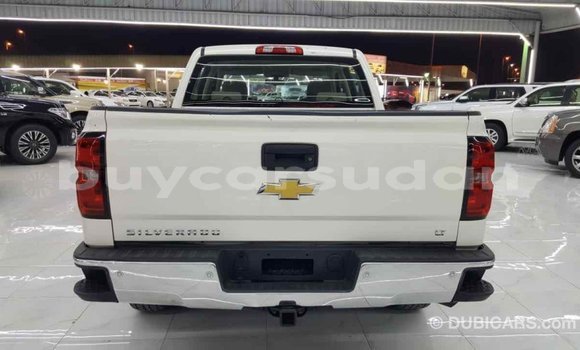 Buy Import Chevrolet Silverado White Car in Import - Dubai in Al Jazirah State Buy Import Chevrolet Silverado White Car in Import - Dubai in Al Jazirah State