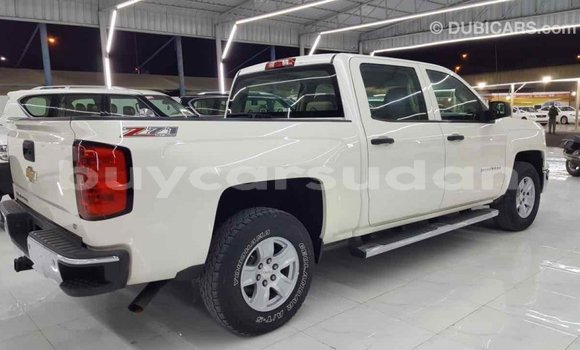 Buy Import Chevrolet Silverado White Car in Import - Dubai in Al Jazirah State Buy Import Chevrolet Silverado White Car in Import - Dubai in Al Jazirah State