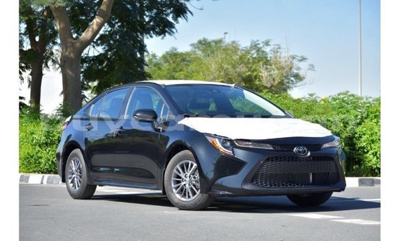 Buy Import Toyota Corolla Black Car in Import - Dubai in Al Jazirah State Buy Import Toyota Corolla Black Car in Import - Dubai in Al Jazirah State