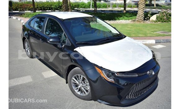 Buy Import Toyota Corolla Black Car in Import - Dubai in Al Jazirah State Buy Import Toyota Corolla Black Car in Import - Dubai in Al Jazirah State