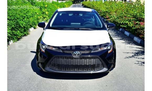 Buy Import Toyota Corolla Black Car in Import - Dubai in Al Jazirah State Buy Import Toyota Corolla Black Car in Import - Dubai in Al Jazirah State