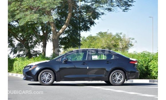 Buy Import Toyota Corolla Black Car in Import - Dubai in Al Jazirah State Buy Import Toyota Corolla Black Car in Import - Dubai in Al Jazirah State