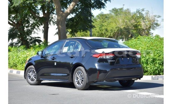 Buy Import Toyota Corolla Black Car in Import - Dubai in Al Jazirah State Buy Import Toyota Corolla Black Car in Import - Dubai in Al Jazirah State