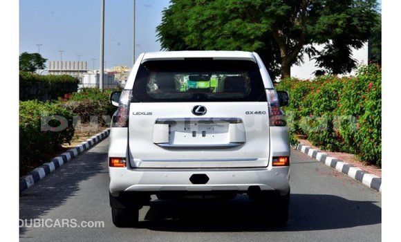 Buy Import Lexus GX White Car in Import - Dubai in Al Jazirah State Buy Import Lexus GX White Car in Import - Dubai in Al Jazirah State
