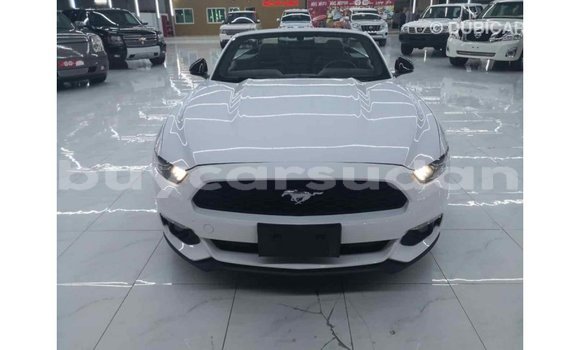 Buy Import Ford Mustang White Car in Import - Dubai in Al Jazirah State Buy Import Ford Mustang White Car in Import - Dubai in Al Jazirah State