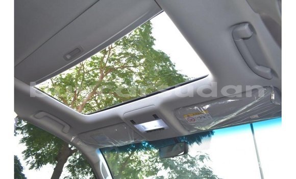 Buy Import Toyota Land Cruiser Black Car in Import - Dubai in Al Jazirah State Buy Import Toyota Land Cruiser Black Car in Import - Dubai in Al Jazirah State