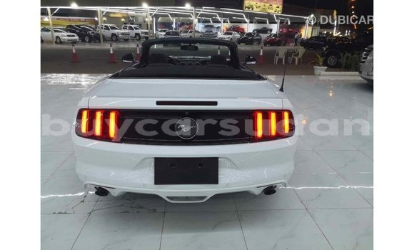 Buy Import Ford Mustang White Car in Import - Dubai in Al Jazirah State Buy Import Ford Mustang White Car in Import - Dubai in Al Jazirah State