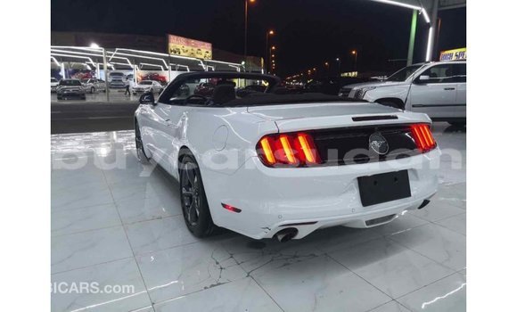 Buy Import Ford Mustang White Car in Import - Dubai in Al Jazirah State Buy Import Ford Mustang White Car in Import - Dubai in Al Jazirah State