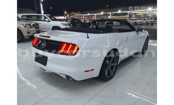 Buy Import Ford Mustang White Car in Import - Dubai in Al Jazirah State Buy Import Ford Mustang White Car in Import - Dubai in Al Jazirah State