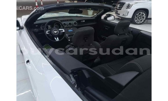 Buy Import Ford Mustang White Car in Import - Dubai in Al Jazirah State Buy Import Ford Mustang White Car in Import - Dubai in Al Jazirah State